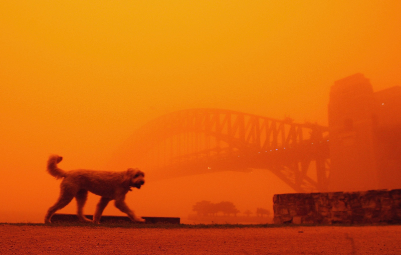 Illustration for article titled Sydney Dustpocalypse